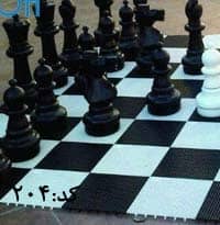 مهره شطرنج پارکی